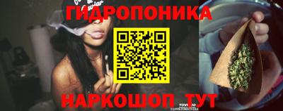 мяу мяу кристалл Камень-на-Оби