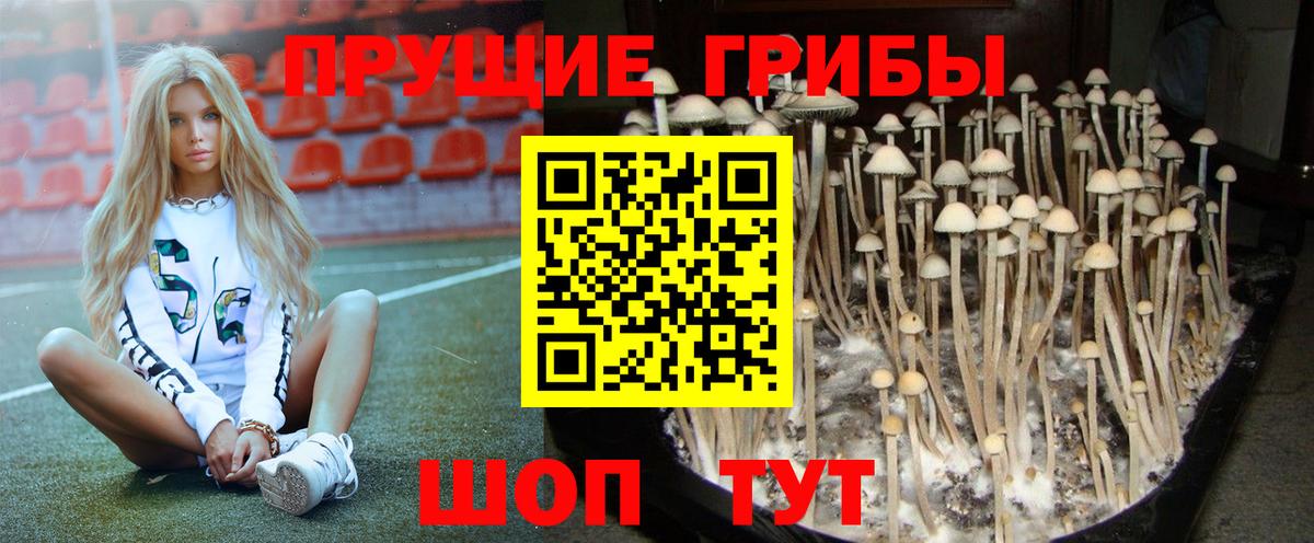 Галлюциногенные грибы ЛСД Таганрог